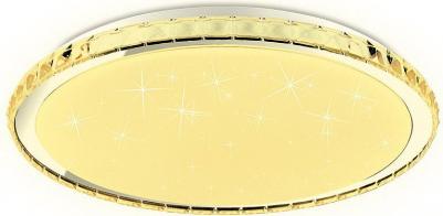 FF501 – фото 3