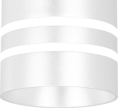 TN250 – фото 9