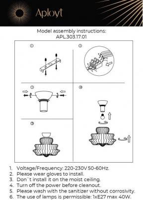 APL.303.17.01 – фото 2