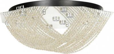 Dante L 1.2.55.501 N