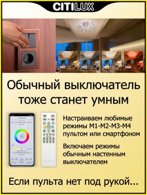 CL229A151E – фото 16