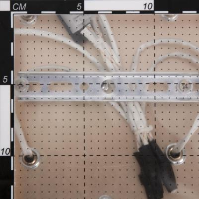 CL324262 – фото 15