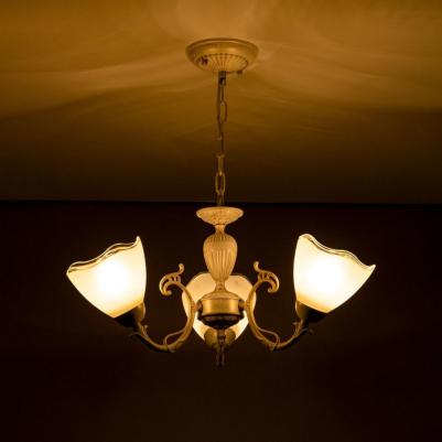 CL413230 – фото 13