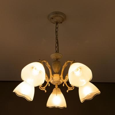 CL413250 – фото 8