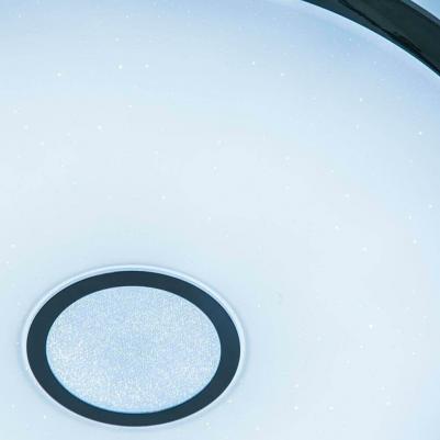 CL703A100G – фото 10