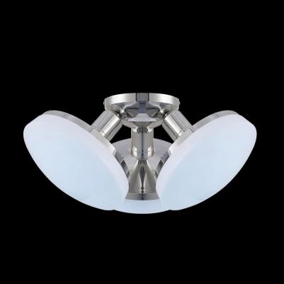 CL716131Nz – фото 1