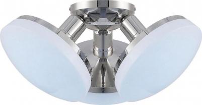 CL716131Nz – фото 2