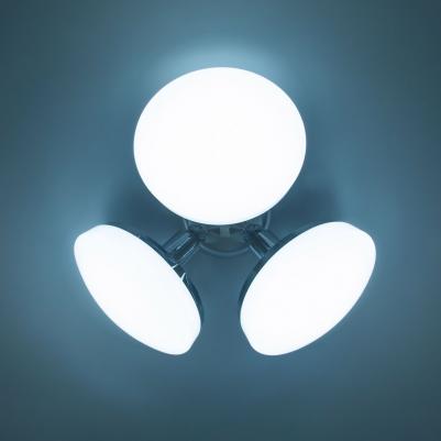 CL716131Nz – фото 3