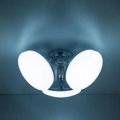 CL716131Nz – фото 4