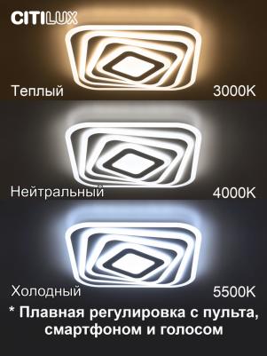 CL737A44E – фото 3