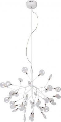 Evita SP36 – фото 1