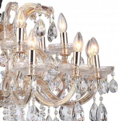 Gloria E 1.1.18.200 G – фото 2