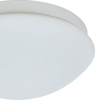 97531 – фото 3