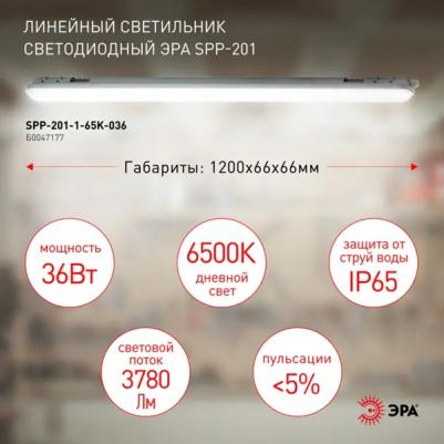 SPP-201-1-65K-036 – фото 2