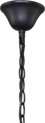 2169-5P – фото 3