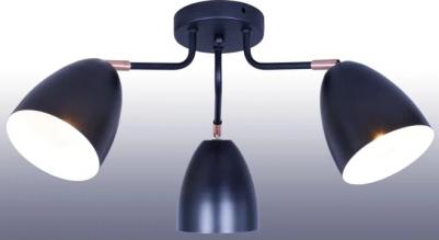 FR2020-PL-06-BZ – фото 11