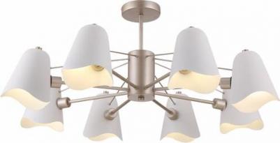 FR5037PL-05S – фото 1