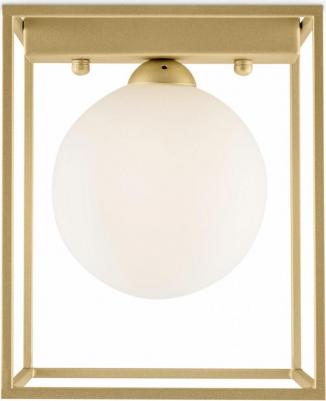 FR5113CL-01G – фото 2