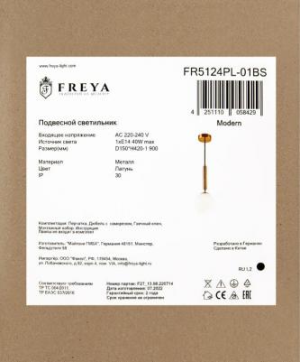 FR5124PL-01BS – фото 1