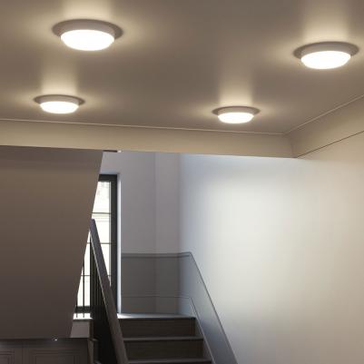 126411224 – фото 4