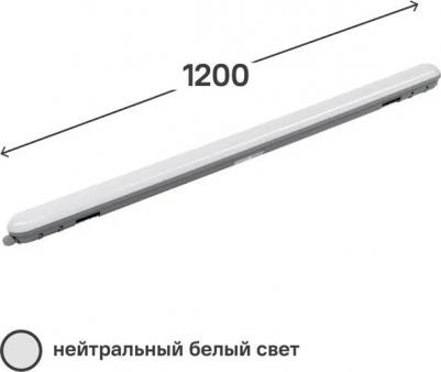 864225236