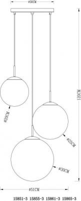 15855-3 – фото 4