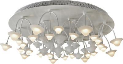 C50068/16Y WH – фото 1