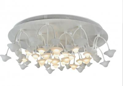 C50068/16Y WH – фото 2