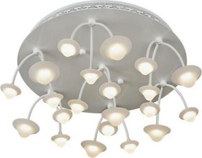 C50068/16Y WH – фото 4