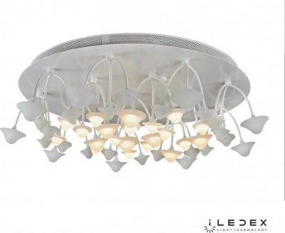 C50068/16Y WH – фото 5