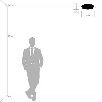 750071 – фото 10