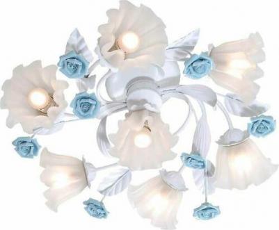 Fiori di rose 112.6.1