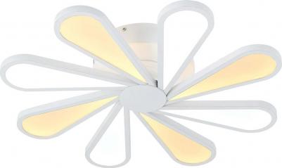 Miracoli 201.8 LED