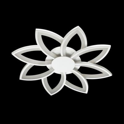 4447/99CL – фото 4