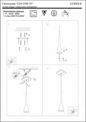 LSN-0106-01 – фото 14