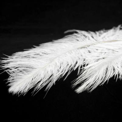 LSP-8601 – фото 1