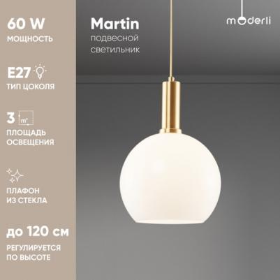 V2891-1P – фото 1