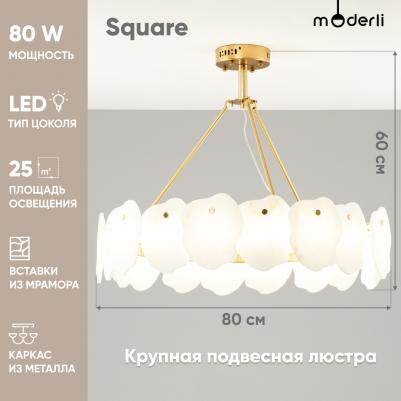 V8091-PL – фото 4