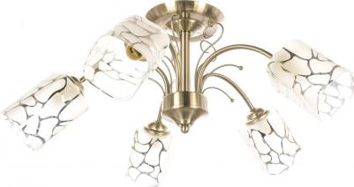 261019505 – фото 5