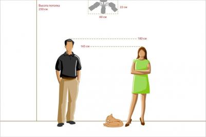 261019505 – фото 8