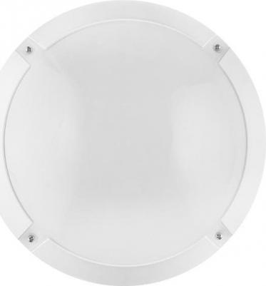 19299 – фото 4