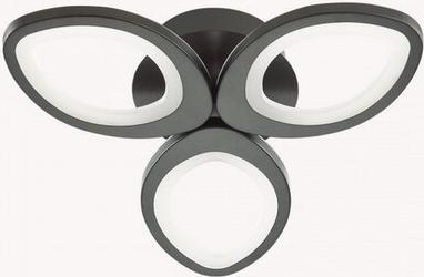 4505/C – фото 3