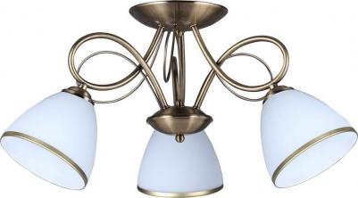 OML-25307-03 – фото 6