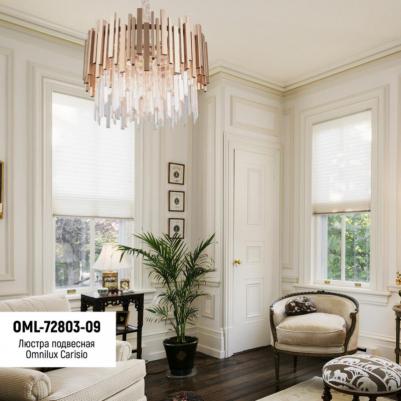 OML-72803-09 – фото 5