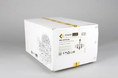 OML-99703-06 – фото 7
