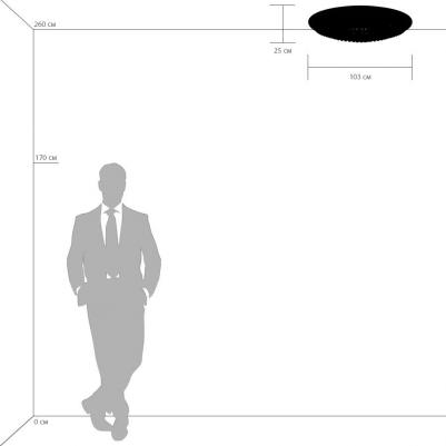 704214 – фото 3