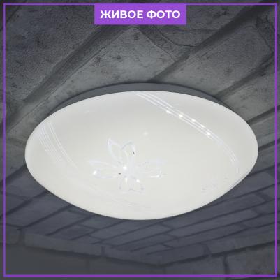 45003.19.15.64 – фото 12