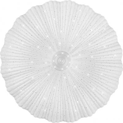 1196402