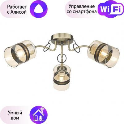 217-507-03 – фото 3