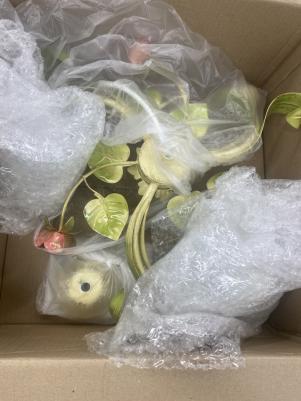 V1537/3PL – фото 5